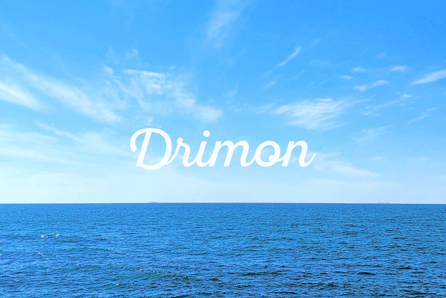 ドリモン合同会社